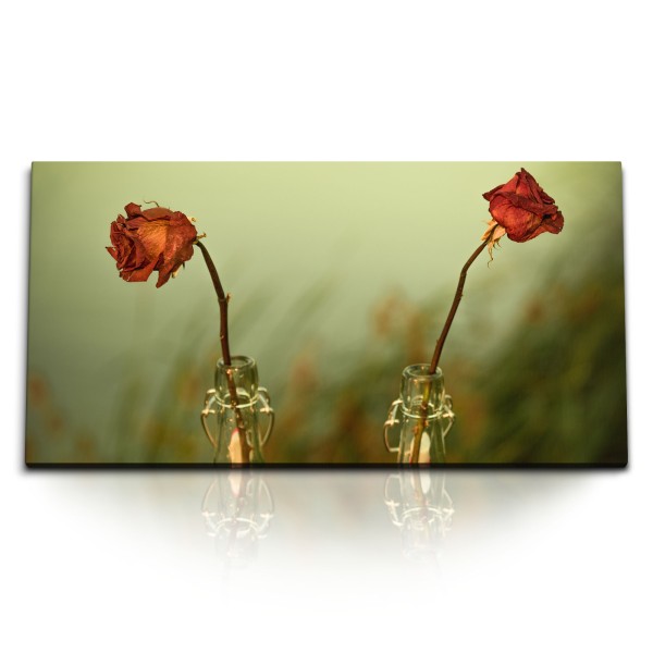 Paul Sinus Art Kunstdruck Bilder 120x60cm Trockene Rosen rote Blumen Flasche Kunstvoll