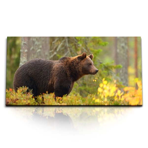 Paul Sinus Art Kunstdruck Bilder 120x60cm Bär Wald Sibirien Tierfotografie Braunbär Alaska