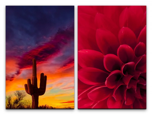 Paul Sinus Art 2 Bilder je 60x90cm Dahlie Arizona Kaktus Roter Himmel Wüste Sonnenuntergang