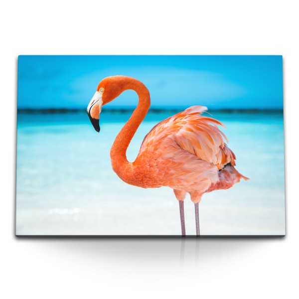 Paul Sinus Art 120x80cm Wandbild auf Leinwand Rosa Flamingo Florida USA Meer Sonnenschein Sommer