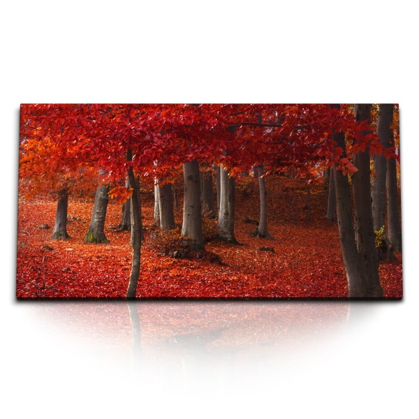 Paul Sinus Art Kunstdruck Bilder 120x60cm Wald Bäume Herbst rote Blätter Herbstblätter