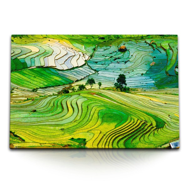 Paul Sinus Art 120x80cm Wandbild auf Leinwand Reisfelder Vietnam Reisanbau Grün Natur Landschaft