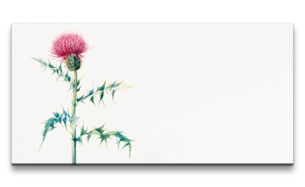 Paul Sinus Art Remaster 120x60cm Botanische Zeichnung Distel Vintage Dekorativ Minimal