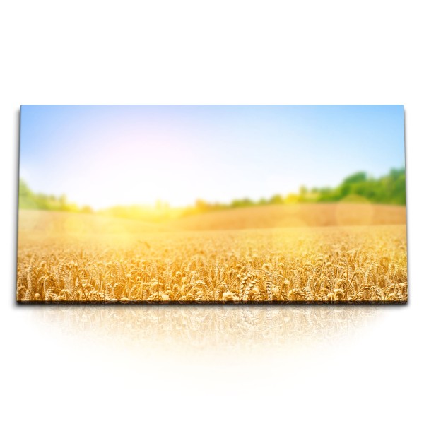 Paul Sinus Art Kunstdruck Bilder 120x60cm Sommer Weizen Weizenfeld Feld blauer Himmel