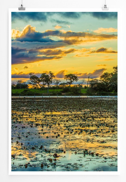 Paul Sinus Art 90x60cm Poster Bunter Sonnenaufgang in Pantanal Brasilien