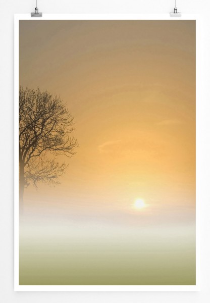 Paul Sinus Art 60x90cm Landschaftsfotografie Poster Baum bei Sonnenaufgang