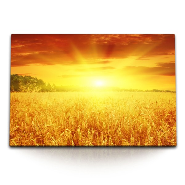 120x80cm Wandbild auf Leinwand Sonnenuntergang Feld Weizenfeld Natur Abendrot