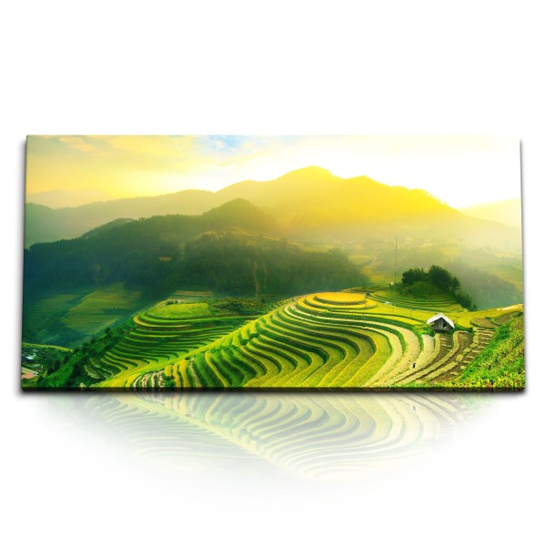 Paul Sinus Art Kunstdruck Bilder 120x60cm Vietnam Reisfelder Grün Natur Berge Reisanbau