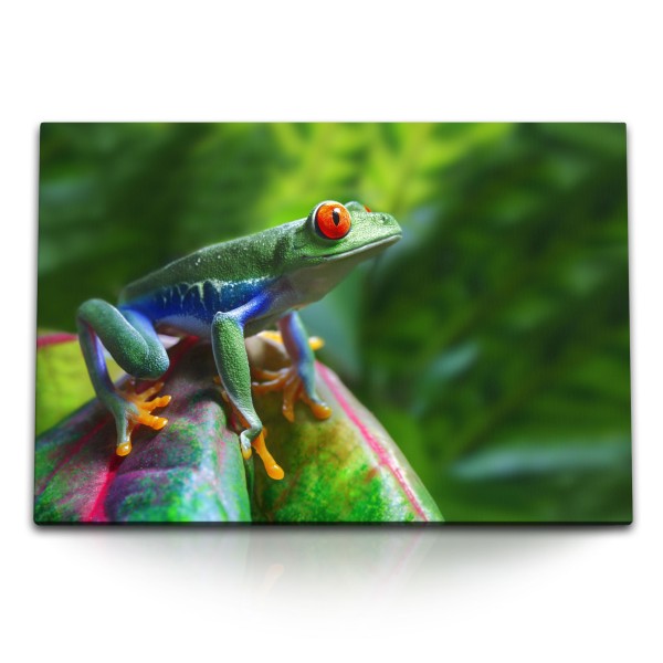 Paul Sinus Art 120x80cm Wandbild auf Leinwand Frosch im Dschungel Grün Tropisch Exotisch