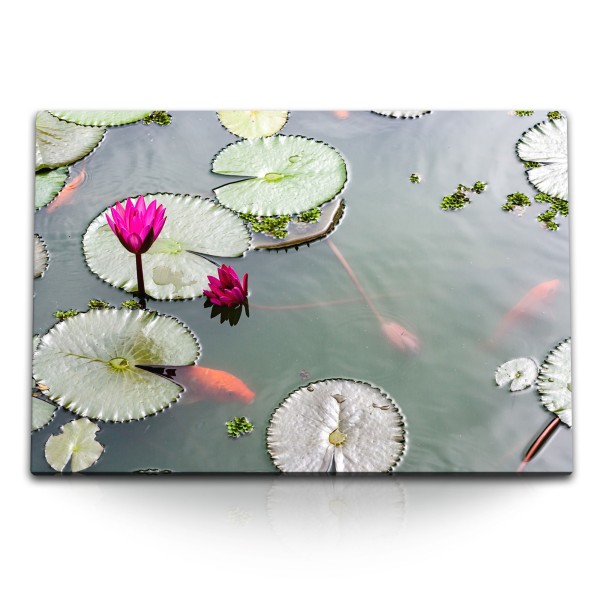 Paul Sinus Art 120x80cm Wandbild auf Leinwand Lotus Wasserblume Lotusblüte Teich Koi Asien