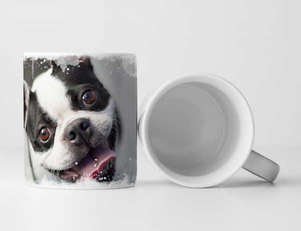 Paul Sinus Art Tasse Geschenk Tierfotografie – Boston Terrier