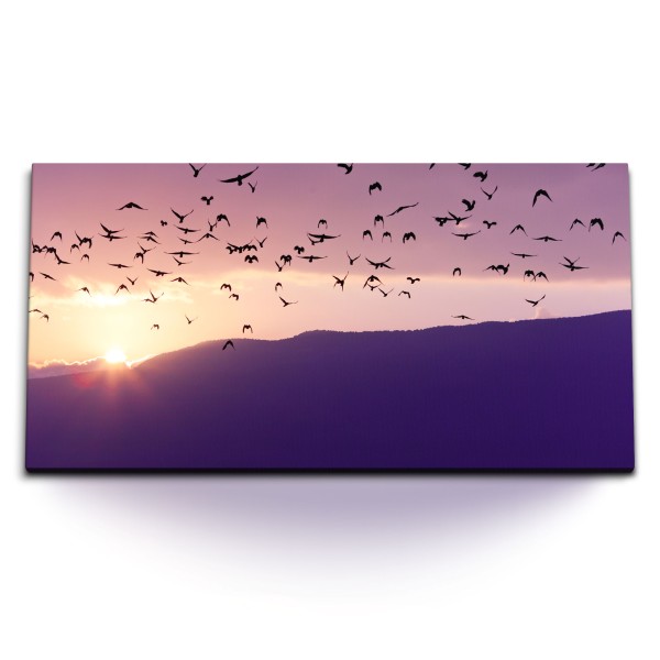 Paul Sinus Art Kunstdruck Bilder 120x60cm Vögel Vogelschwarm Berge Sonnenuntergang Himmel