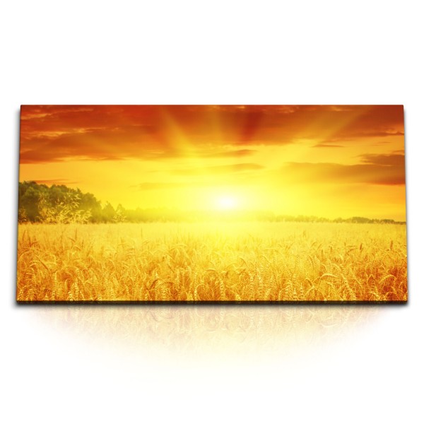 Paul Sinus Art Kunstdruck Bilder 120x60cm Sonnenuntergang Feld Weizenfeld Natur Abendrot