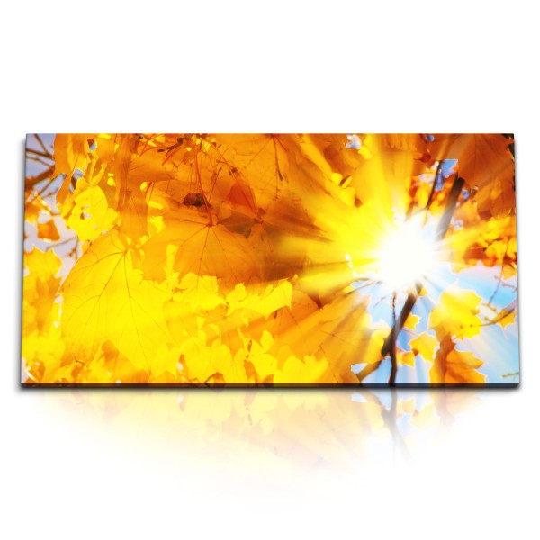 Paul Sinus Art Kunstdruck Bilder 120x60cm Herbstblätter Sonnenstrahl Herbst Baum