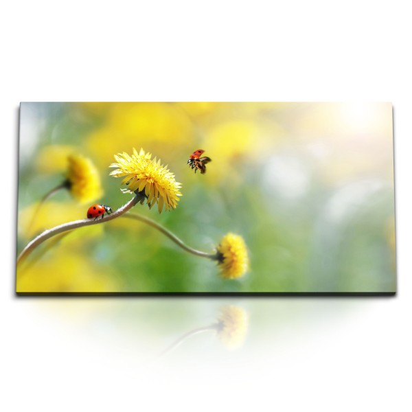 Paul Sinus Art Kunstdruck Bilder 120x60cm Löwenzahn Marienkäfer gelbe Blume Frühling Natur