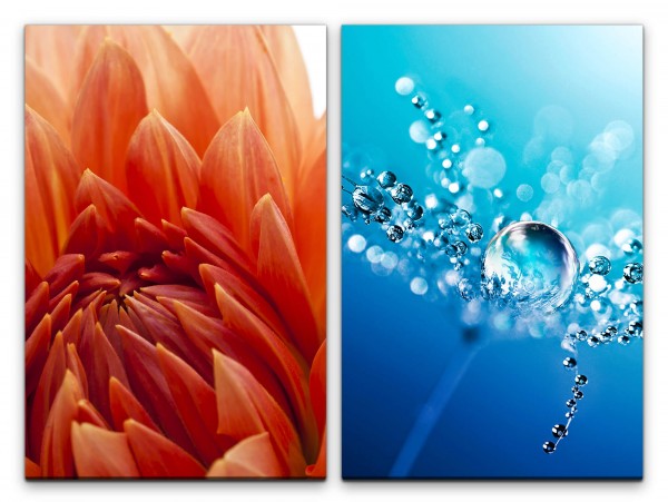 Paul Sinus Art 2 Bilder je 60x90cm Dahlie rote Blüte Blume Wassertropfen Tropfen Fotokunst Makrofotografie