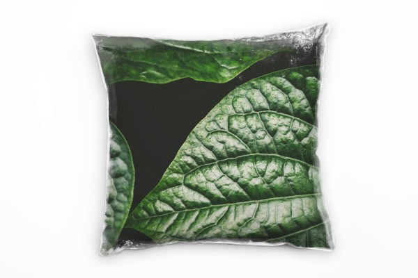 Paul Sinus Art Macro, Natur, Blatt, grün, schwarz Deko Kissen 40x40cm für Couch Sofa Lounge Zierkissen