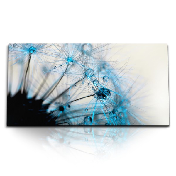 Paul Sinus Art Kunstdruck Bilder 120x60cm Pusteblume Nahaufnahme Makrofotografie Blau Hellblau