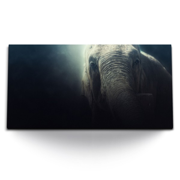 Paul Sinus Art Kunstdruck Bilder 120x60cm Tierfotografie Elefant Kunstvoll schwarzer Hintergrund