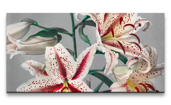 Paul Sinus Art Remaster 120x60cm Ogawa Kazumasa berühmte Fotografie Lilien Blume Blüte Frühling Schön