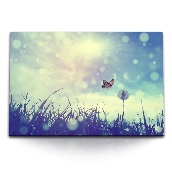 Paul Sinus Art 120x80cm Wandbild auf Leinwand Sommerwiese Schmetterling Sonnenschein Sommer