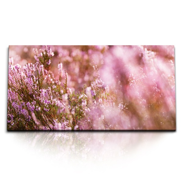 Paul Sinus Art Kunstdruck Bilder 120x60cm Besenheide Pflanze Sommer Blumen Sonnenschein