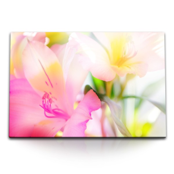 Paul Sinus Art 120x80cm Wandbild auf Leinwand Blumen Blüten Sommer Sonnenschein Fotokunst Hell