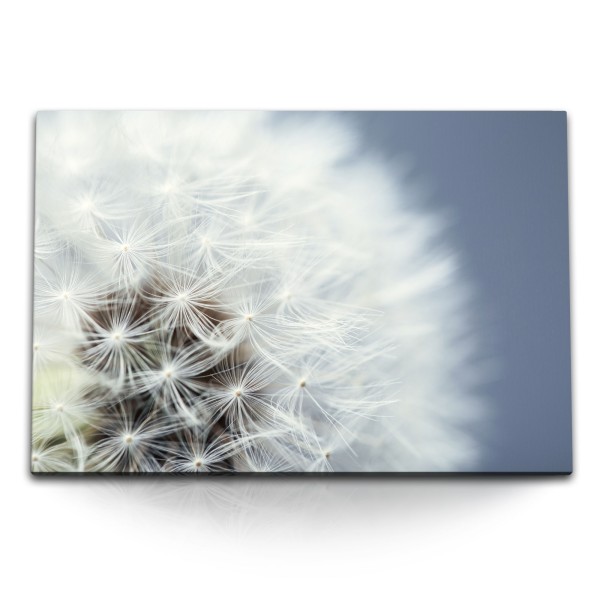 Paul Sinus Art 120x80cm Wandbild auf Leinwand Pusteblume Makrofotografie Weiß Blume Nahaufnahme