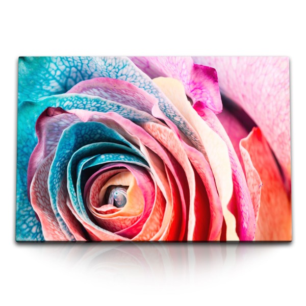 Paul Sinus Art 120x80cm Wandbild auf Leinwand Nahaufnahme Blüte Blume Rosa Rot Farbenfroh