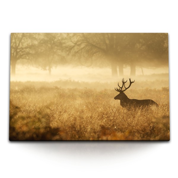 Paul Sinus Art 120x80cm Wandbild auf Leinwand Hirsch Grasland Natur Waldrand Morgentau