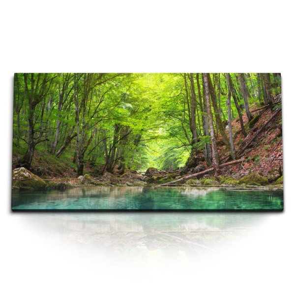 Paul Sinus Art Kunstdruck Bilder 120x60cm Natur Wald Bach Fluss Wasser Grün