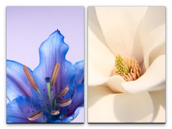 Paul Sinus Art 2 Bilder je 60x90cm Orchidee Blau weiße Tulpe Blumen Fotokunst Flora Makrofotografie