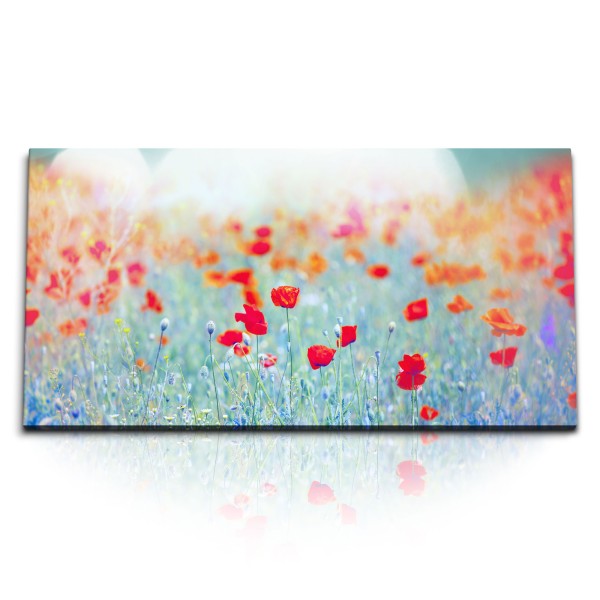 Paul Sinus Art Kunstdruck Bilder 120x60cm Rote Blumen Blüten Wildblumen Feldblumen Hellblau