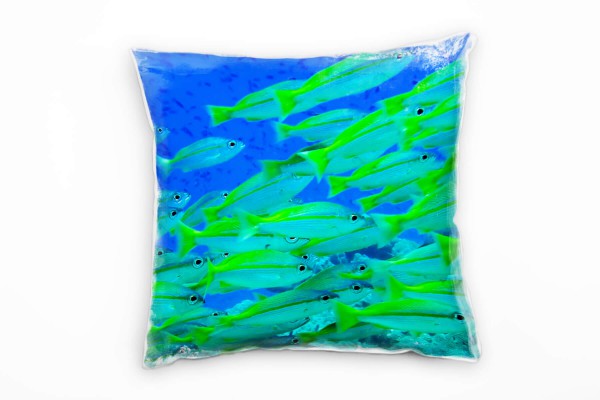 Paul Sinus Art Tiere, Fische, Unterwasser, grün, blau Deko Kissen 40x40cm für Couch Sofa Lounge Zierkissen