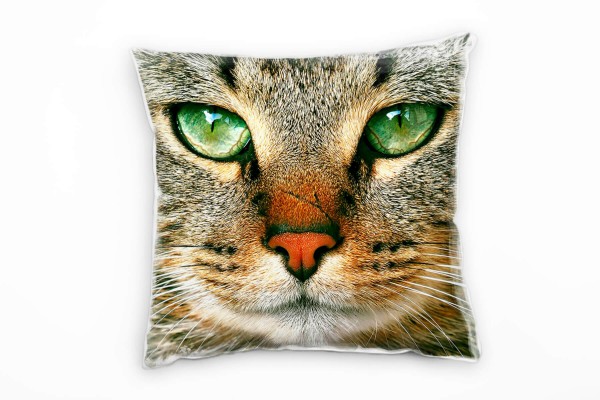 Paul Sinus Art Macro, Tiere, Katze, braun, grün Deko Kissen 40x40cm für Couch Sofa Lounge Zierkissen