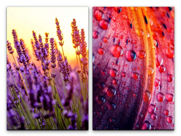 Paul Sinus Art 2 Bilder je 60x90cm Lavendelfeld Lavendel Wassertropfen Sommer Abendröte Stimmig Makrofotografie