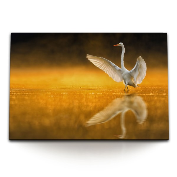 Paul Sinus Art 120x80cm Wandbild auf Leinwand Silberreiher Abendröte Tierfotografie Natur weißen Vogel