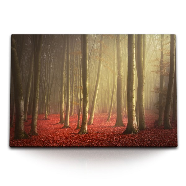 Paul Sinus Art 120x80cm Wandbild auf Leinwand Wald Bäume Natur Herbst rote Herbstblätter