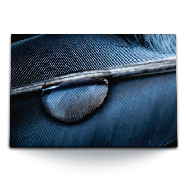 Paul Sinus Art 120x80cm Wandbild auf Leinwand Nahaufnahme Feder Blau Dunkelblau Wassertropfen