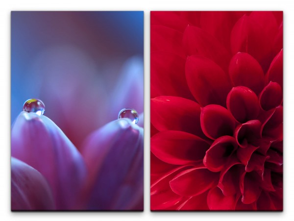 Paul Sinus Art 2 Bilder je 60x90cm Dahlie rote Blüte Blumen Wasserperle Harmonisch Entspannend Makrofotografie