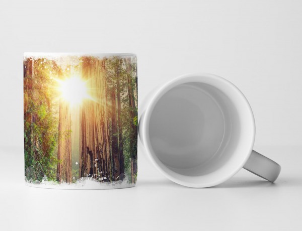 Paul Sinus Art Tasse Geschenk Landschaftsfotografie – Sonniger Redwood Forest Kalifornien USA