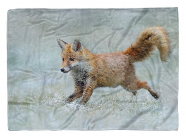 Paul Sinus Art Handtuch Strandhandtuch Saunatuch Kuscheldecke mit Tiermotiv kleiner Fuchs