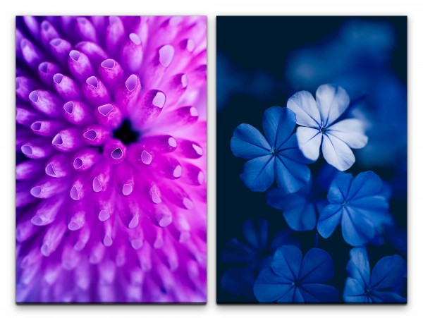 Paul Sinus Art 2 Bilder je 60x90cm Koralle Bachblüte Unterwasser Nahaufnahme Blau Violett Makrofotografie