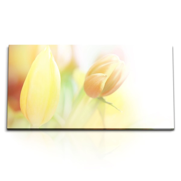 Paul Sinus Art Kunstdruck Bilder 120x60cm Tulpen Blumen Blüten Hell Sonnenschein Kunstvoll