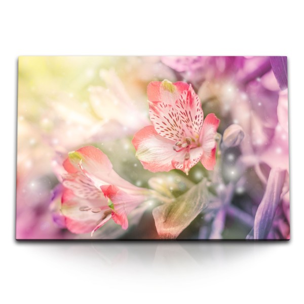 Paul Sinus Art 120x80cm Wandbild auf Leinwand Blumen Blüten Rosa Lila Sommer Fotokunst