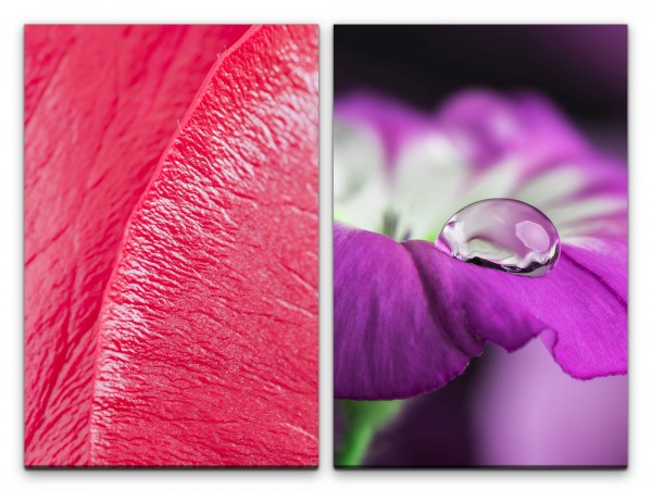 Paul Sinus Art 2 Bilder je 60x90cm Orchidee Blüte Rosa Wassertropfen Harmonisch Fotokunst Makrofotografie