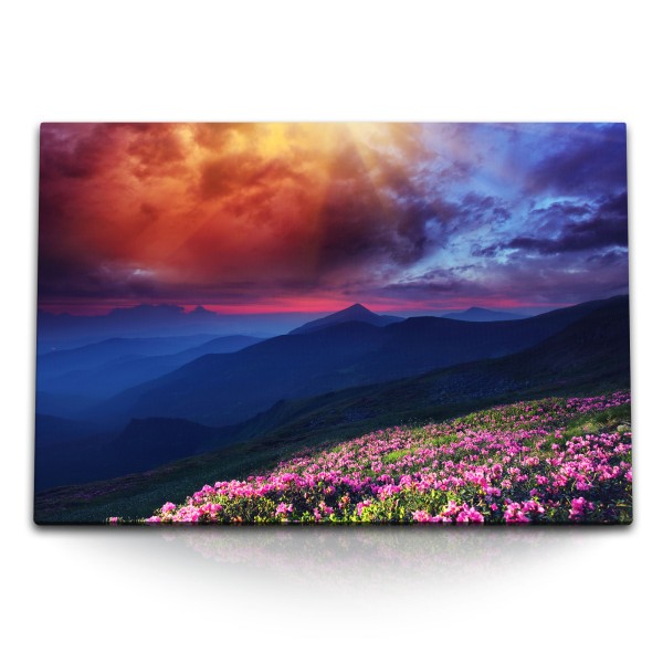 Paul Sinus Art 120x80cm Wandbild auf Leinwand Berge Berglandschaft dunkler Himmel Blumenwiese