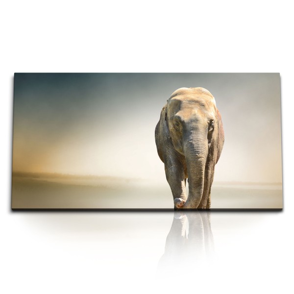 Paul Sinus Art Kunstdruck Bilder 120x60cm Elefant Tierfotografie Kunstvoll Horizont Afrika