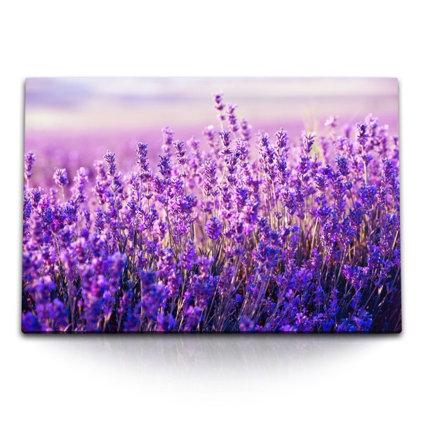 120x80cm Wandbild auf Leinwand Lavendel Lavendelfeld Violett Lila Natur Sonnenuntergang