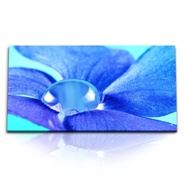 Paul Sinus Art Kunstdruck Bilder 120x60cm Blaue Blume Wassertropfen Makrofotografie Blüte Blau